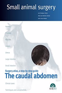 Caudal Abdomen: Small Animal Surgergy