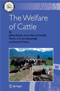 Welfare of Cattle