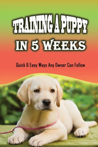 Training A Puppy In 5 Weeks