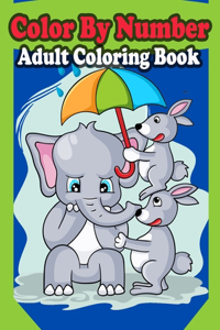 Color By Number Adult Coloring Book