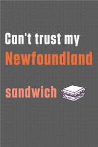 Can't trust my Newfoundland to guard my sandwich