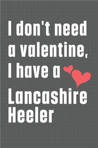 I don't need a valentine, I have a Lancashire Heeler