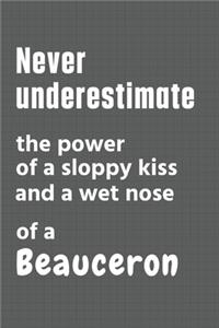 Never underestimate the power of a sloppy kiss and a wet nose of a Beauceron