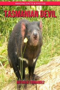 Tasmanian Devil