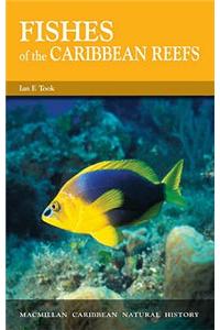 Fishes of the Caribbean Reefs