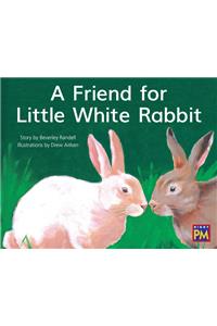 Friend for Little White Rabbit,