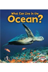 What Can Live in the Ocean?