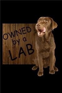 Owned by a Lab