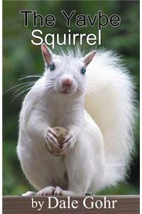 Yavpe Squirrel