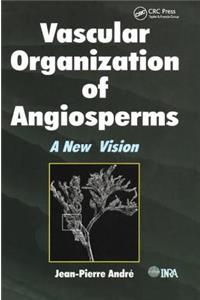 Vascular Organization of Angiosperms
