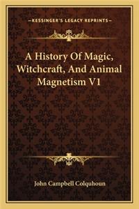 A History Of Magic, Witchcraft, And Animal Magnetism V1