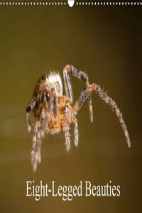 Eight-Legged Beauties 2017