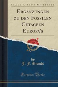 ErgÃ¤nzungen Zu Den Fossilen Cetaceen Europa's (Classic Reprint)
