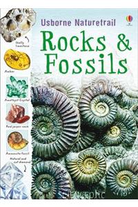 Rocks and Fossils