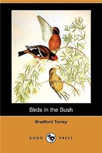 Birds in the Bush (Dodo Press)
