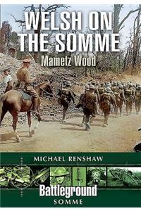 Welsh on the Somme: Mametz Wood