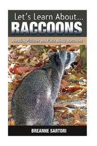Raccoons: Amazing Pictures and Facts about Raccoons