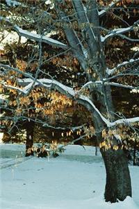 Journal Snowy Winter Tree