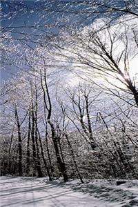 Winter Theme Journal Pretty Path