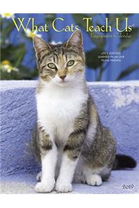 What Cats Teach Us 2019 Engagement Calendar