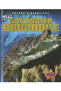 Saltwater Crocodile