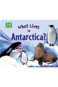 What Lives in Antarctica?