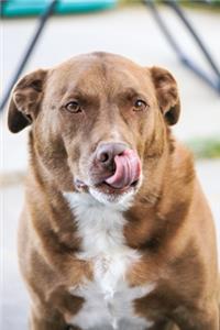 My Faithful Companion Dog Journal