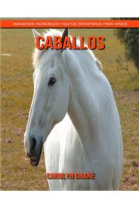 Caballos