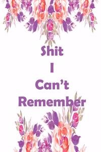 Shit I Can't Remember