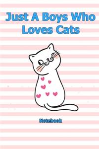 Just A Boys Who Loves Cats: Notebook 6 x 9 inch With 120 Lined pages