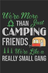 We're More Than Just Camping Friends we're like a really small gang