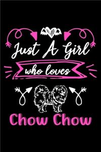 Just a girl who loves Chow Chow
