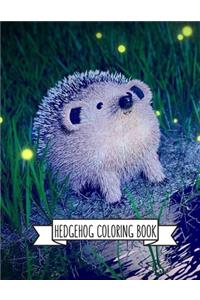 Hedgehog Coloring Book