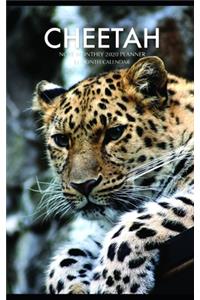 Cheetah Note Monthly 2020 Planner 12 Month Calendar