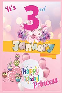 It's 3rd January Happy Birthday Princess Notebook Journal