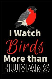I watch Birds more than Humans