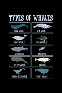 Types of Whales