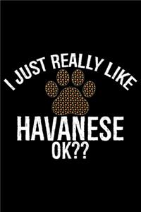 I Just Really Like Havanese Ok?