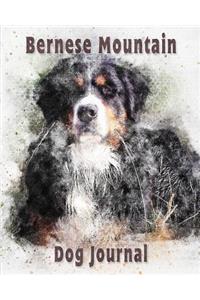 Bernese Mountain Dog