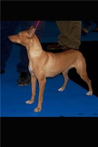 Andalusian Hound Dog Journal
