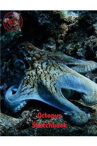 Octopus Sketchbook