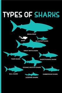 Types of Sharks Megalodon Diver Blacktop Shark Great White Shark Tiger Shark