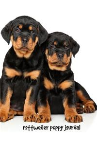 Rottweiler Puppy Journal