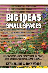 Big Ideas for Small Spaces
