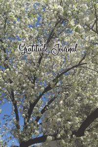 The Beauty of Nature Gratitude Journal