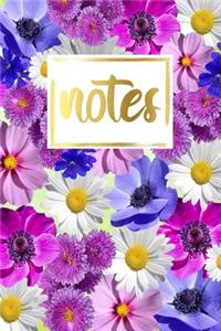 Notes