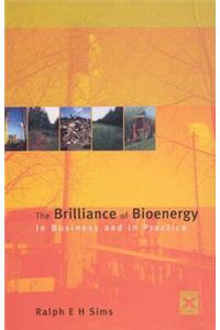 The Brilliance of Bioenergy