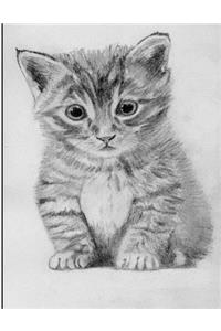 Kitten Drawing Notebook