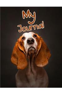 My Journal