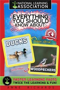 Everything You Should Know About